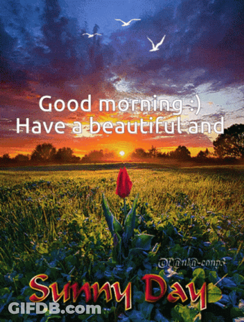 Good Sunday Morning Scenic View GIF