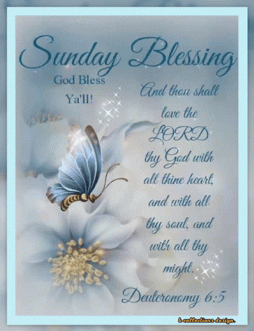 Good Sunday Morning Sparkling Butterfly GIF