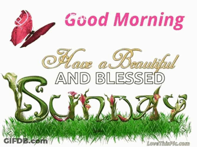 Good Sunday Morning Vines Design GIF