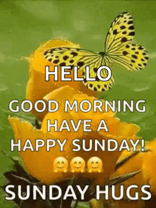 Good Sunday Morning Yellow Flower GIF