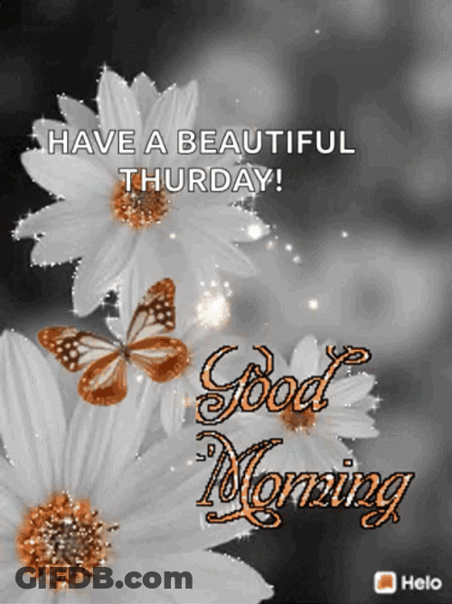 Good Thursday Morning Flower Butterfly GIF