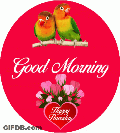 Good Thursday Morning Love Birds GIF