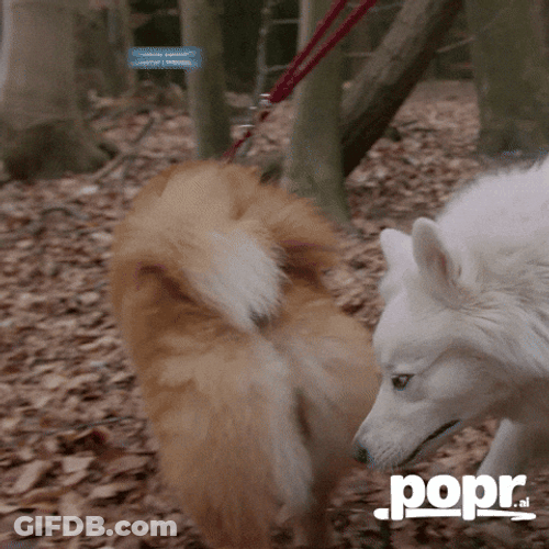 Good To Connect Here On Linkedin GIF