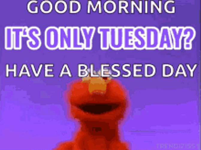Good Tuesday Morning Have A Blessed Day Elmo GIF