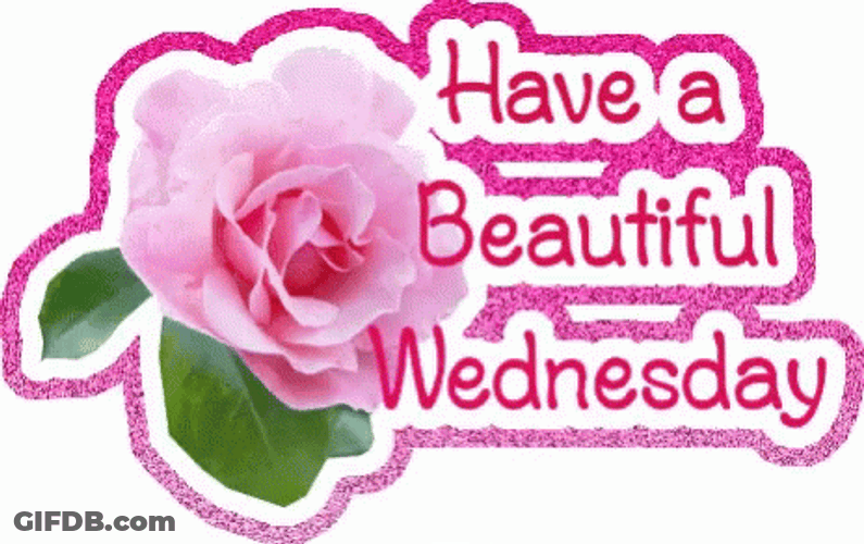 Good Wednesday Beautiful Morning Digital Design GIF
