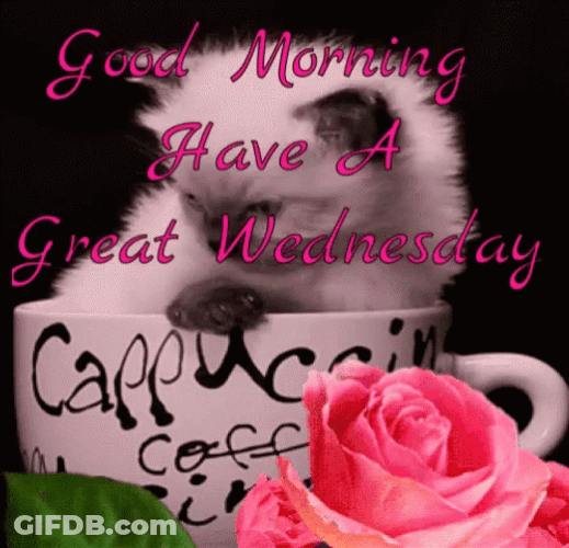 Good Wednesday Morning GIF
