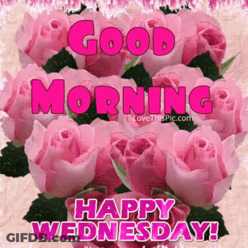 Good Wednesday Morning Pink Blooms GIF