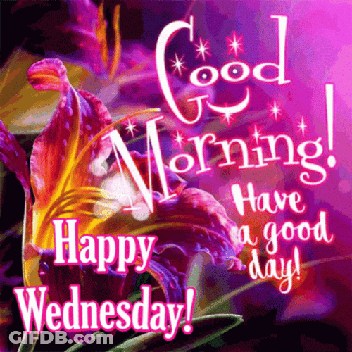 Good Wednesday Morning Sparkling Flowers GIF