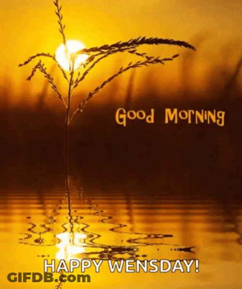 Good Wednesday Morning Sunrise Lake Reflection GIF