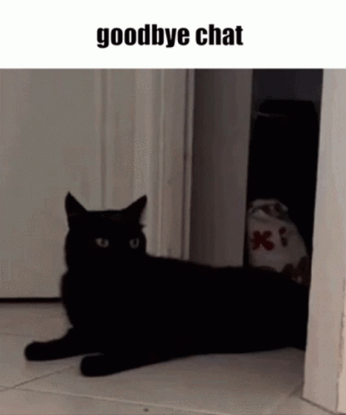 Goodbye Chat Black Cat GIF