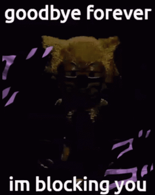 Goodbye Forever I'm Blocking You GIF