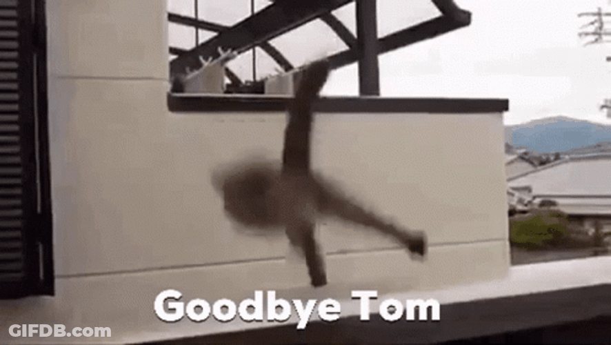 Goodbye Kermit Falling Off Building GIF