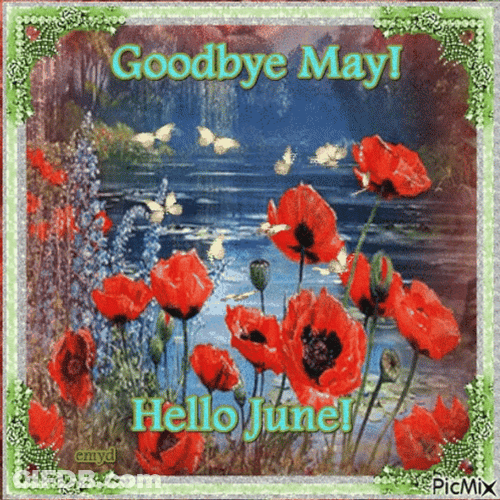 Goodbye May Hello June GIF
