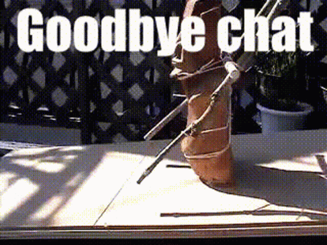 Goodbye Meme Chat Weird Moves GIF