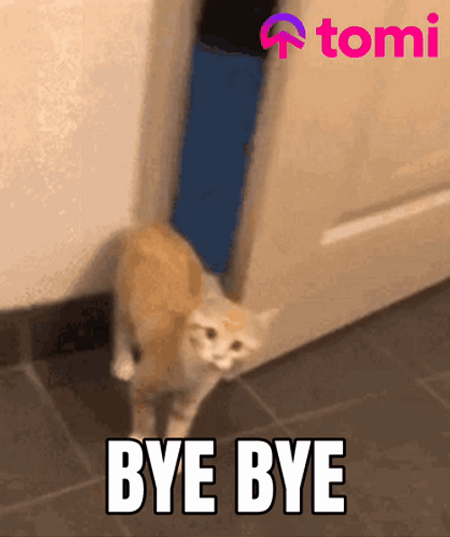 Goodbye Meme Orange Cat Close The Door GIF