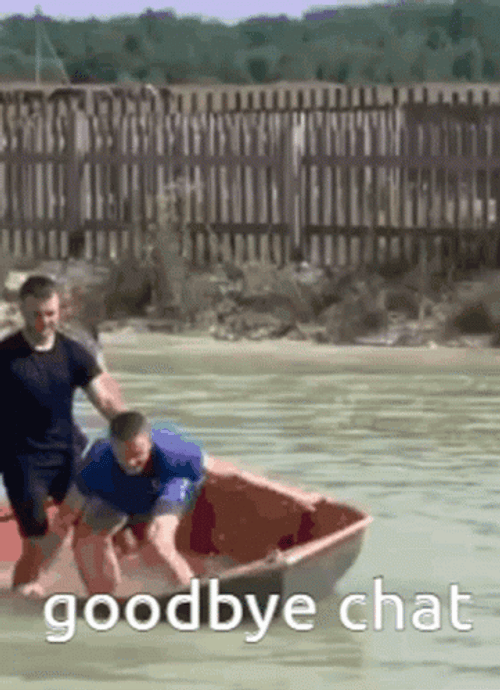 Goodbye Meme Water Drowning Salute GIF