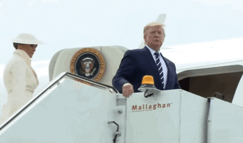Goodbye Trump Official GIF
