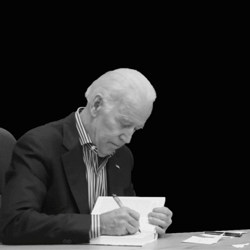 Goodbye Trump Travel Ban GIF