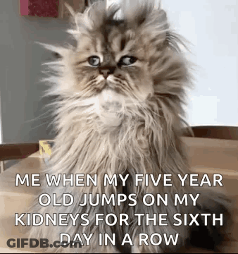 Goodmorning Funnyanimals GIF