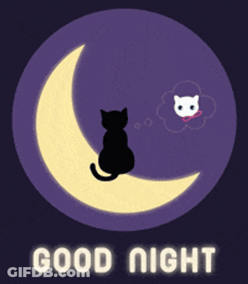 Goodnight Beautiful Cat In Crescent Moon GIF