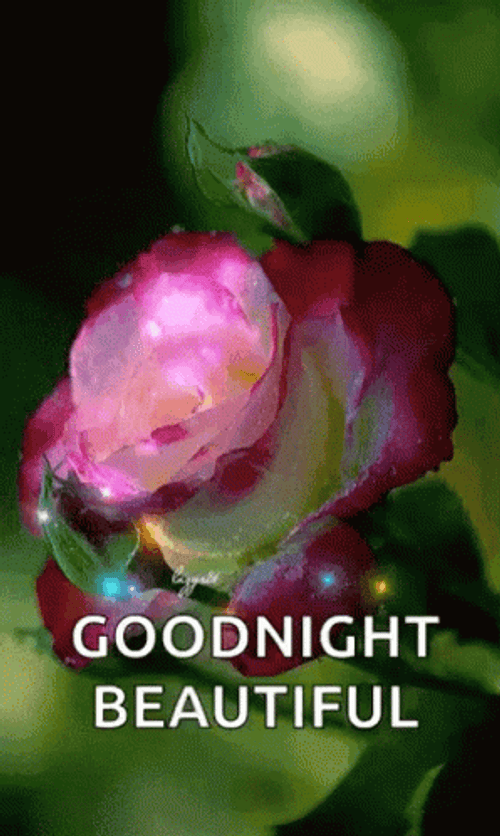 Goodnight Beautiful Pink Rose Sparkles GIF
