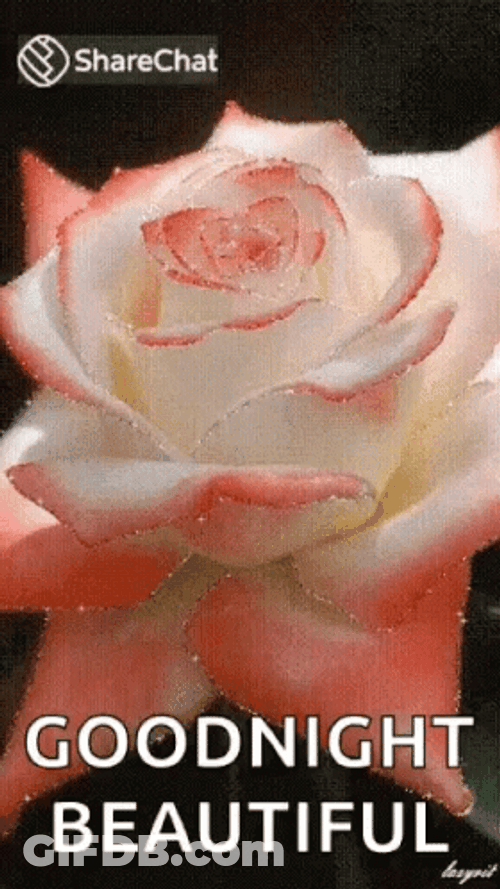 Goodnight Beautiful Rose Sparkles GIF