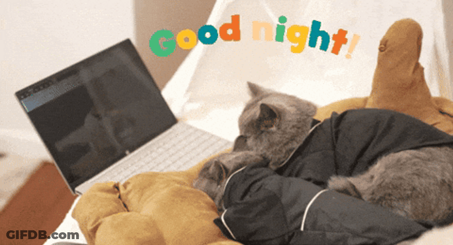 Goodnight Cat In Front Of Laptop GIF
