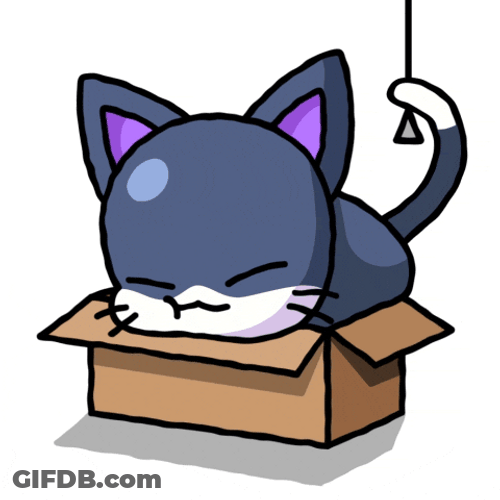 Goodnight Cat Lights Off On Small Box GIF
