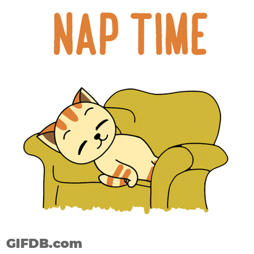 Goodnight Cat Nap Time On Couch GIF