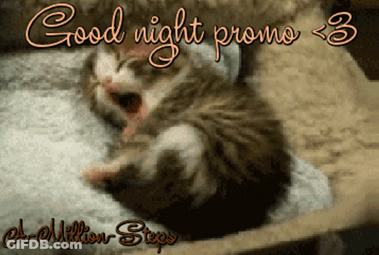 Goodnight Cat On Promo GIF
