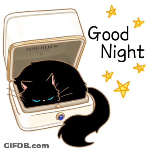 Goodnight Cat On Suitcase GIF