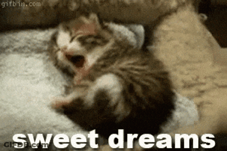Goodnight Cat Sweet Dreams GIF