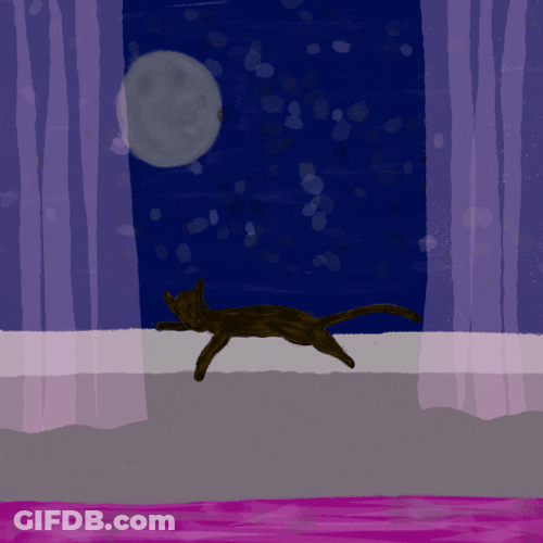 Goodnight Cat Under Moon GIF