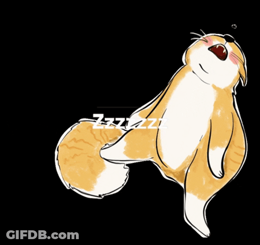 Goodnight Cat While Wagging Tail GIF