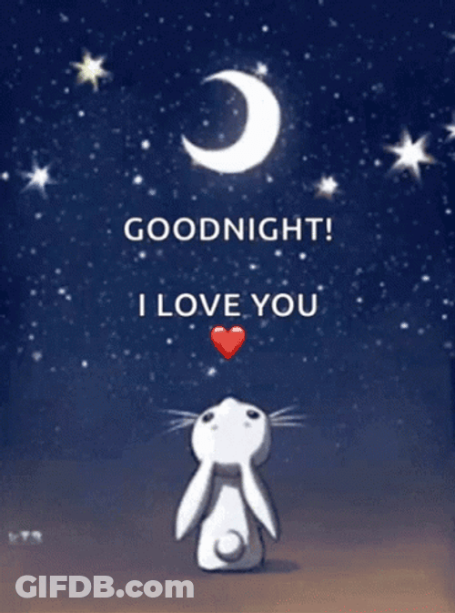 Goodnight I Love You Bunny & Moon GIF