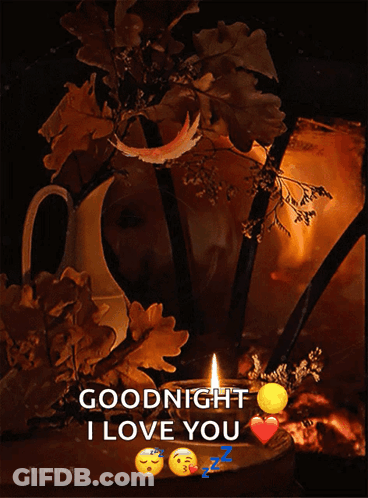 Goodnight I Love You Candle Leaves GIF