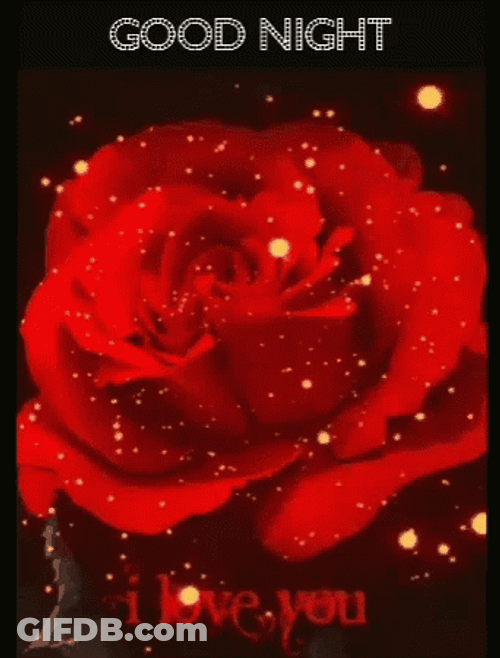 Goodnight I Love You Red Roses GIF