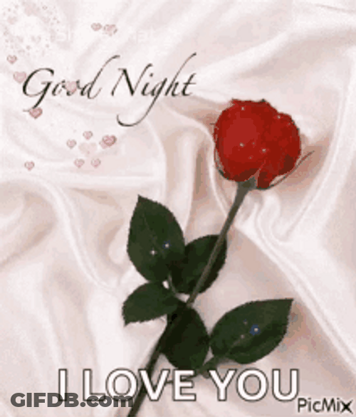 Goodnight I Love You Rose In Bed GIF