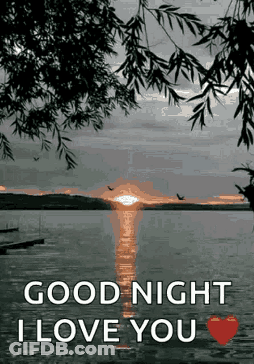 Goodnight I Love You Sunset GIF