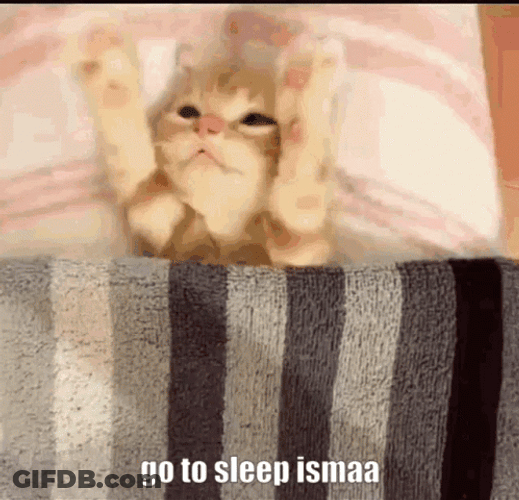 Goodnight Kitten Go To Sleep GIF