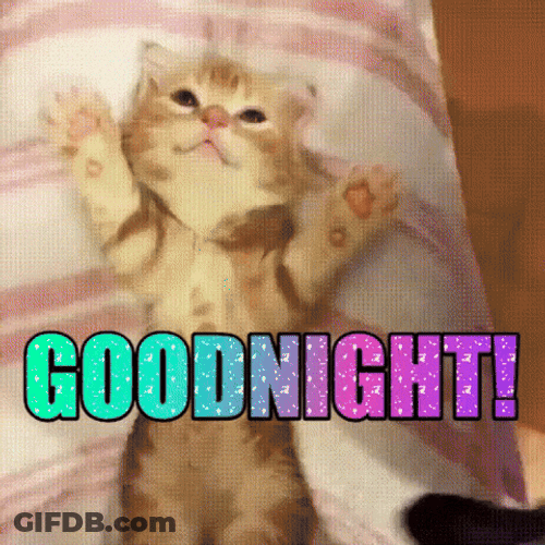 Goodnight Little Cat Arms Up GIF