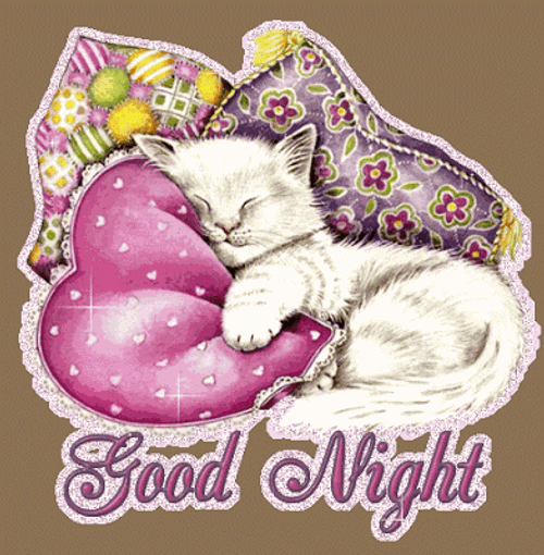 Goodnight Love Kitty Cozy Night GIF