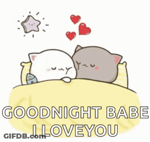 Goodnight My Love I Love You Cats GIF