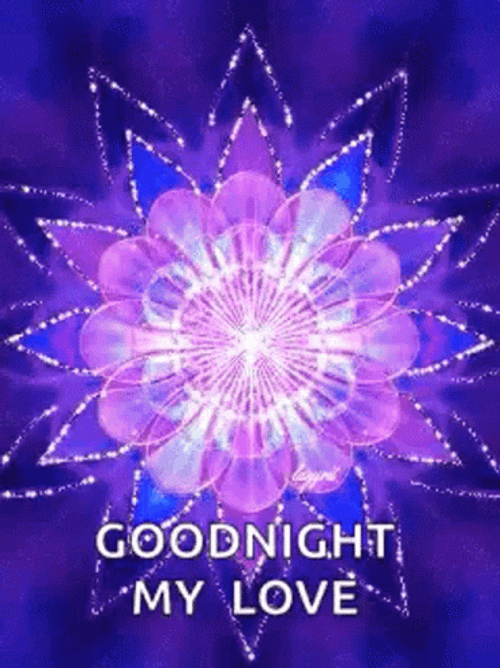 Goodnight My Love Neon Purple Flower Lights GIF