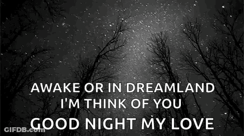 Goodnight My Love Sweet Dreams Sweetheart Card Red Roses Lipstick GIF