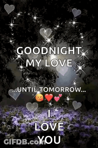 Goodnight My Love Until Tomorrow GIF