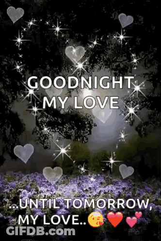 Goodnight My Love Until Tomorrow GIF