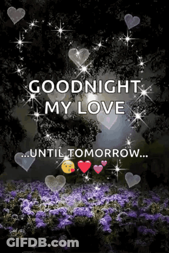 Goodnight My Love Until Tomorrow Purple Flowers Hearts GIF