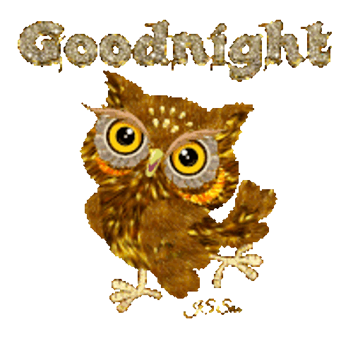 Goodnight Nught Owl Sticker GIF