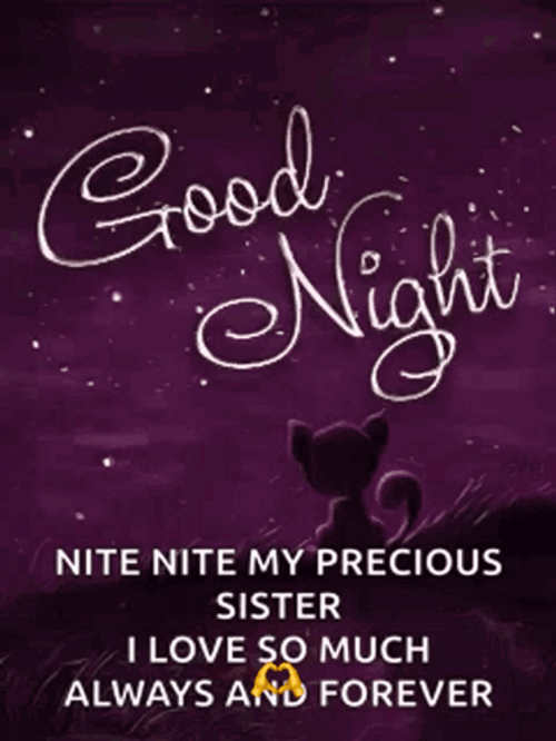 Goodnight Sis I Love You GIF